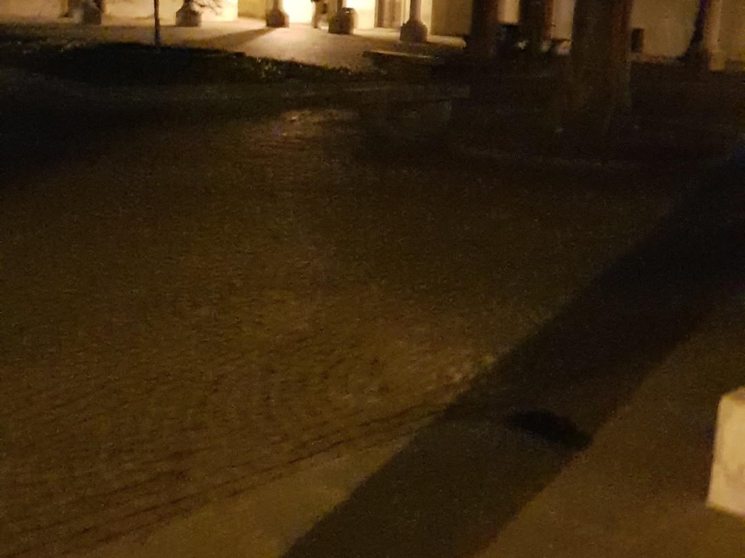 Pavia University History Museum-帕维亚必去景点