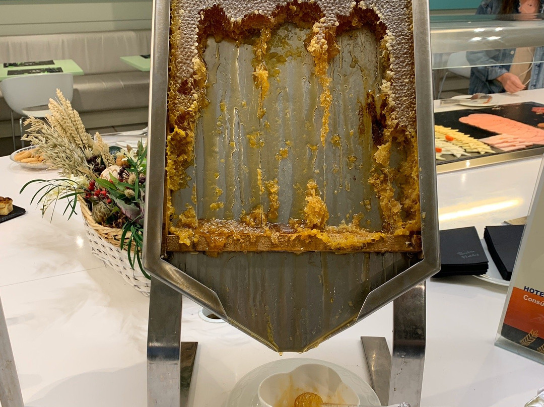 Hotel Palacio Albacete & Spa主图