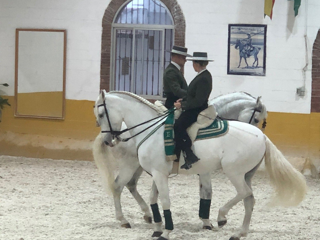 Ritmo a Caballo & Andalusian Night-托雷莫里诺斯必去景点