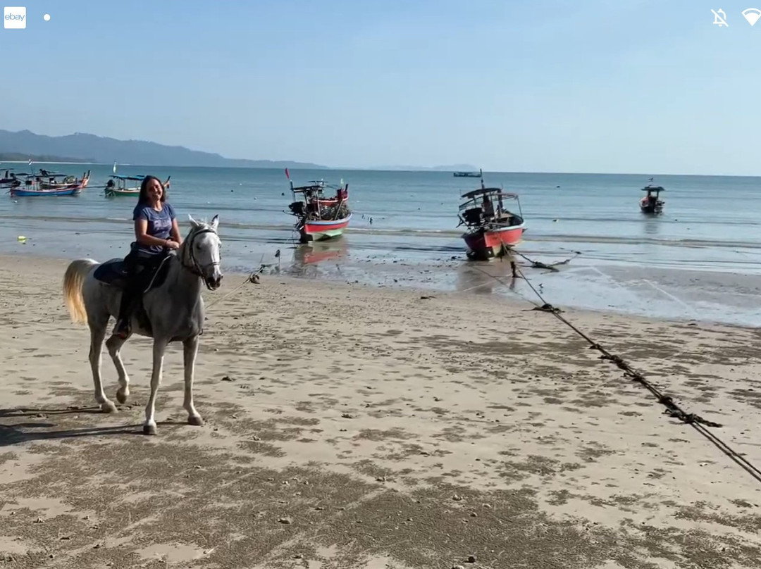 South Arabian Horse Club-拉克山必去景点