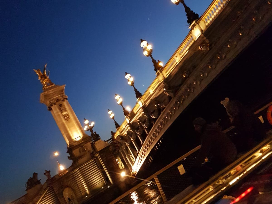 Parigi Travel Tour-巴黎必去景点