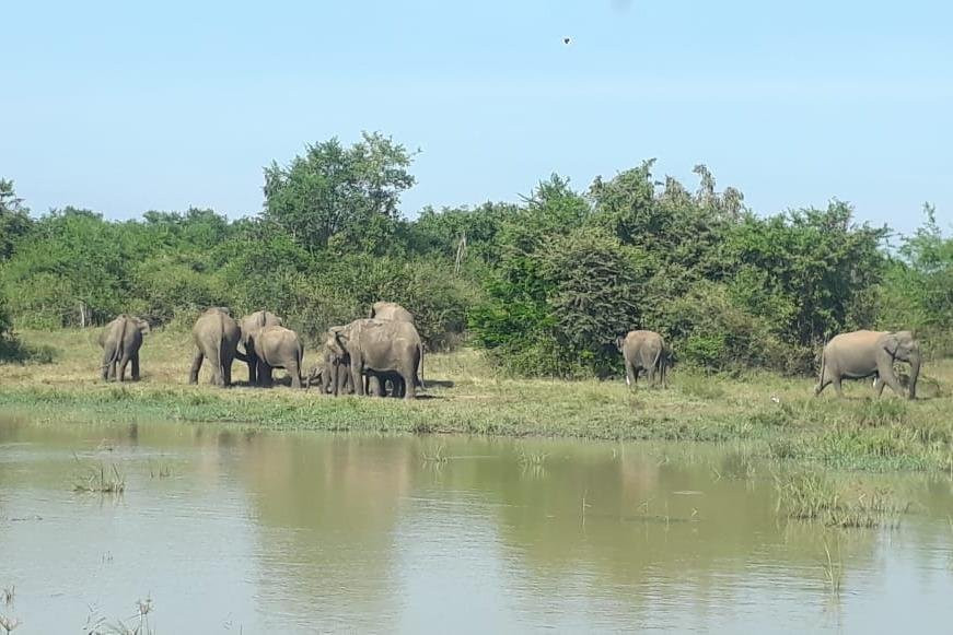 Island Splendour (Pvt) Ltd-Panadura必去景点