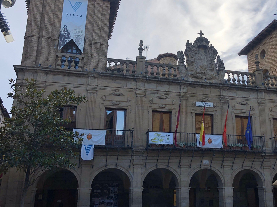 Ayuntamiento de Viana-Viana必去景点