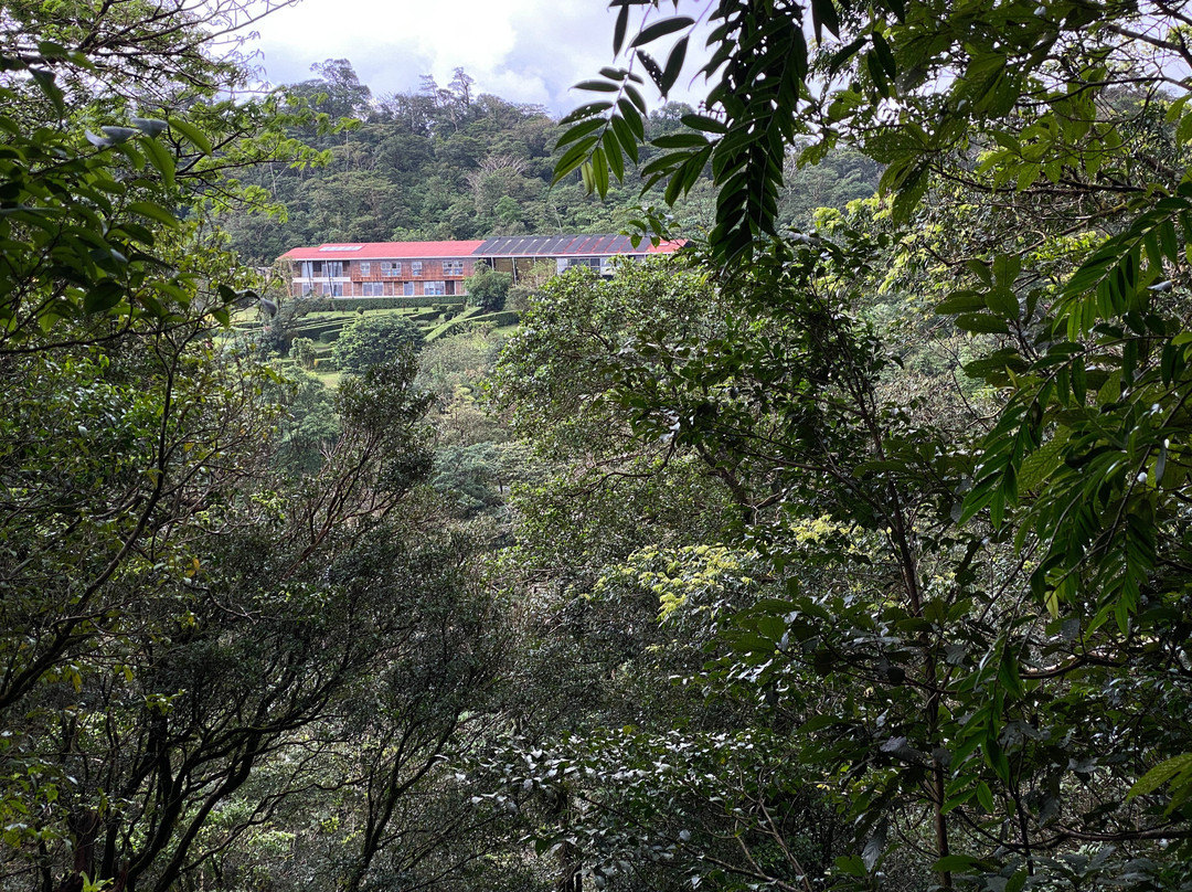 Celeste Mountain Lodge主图