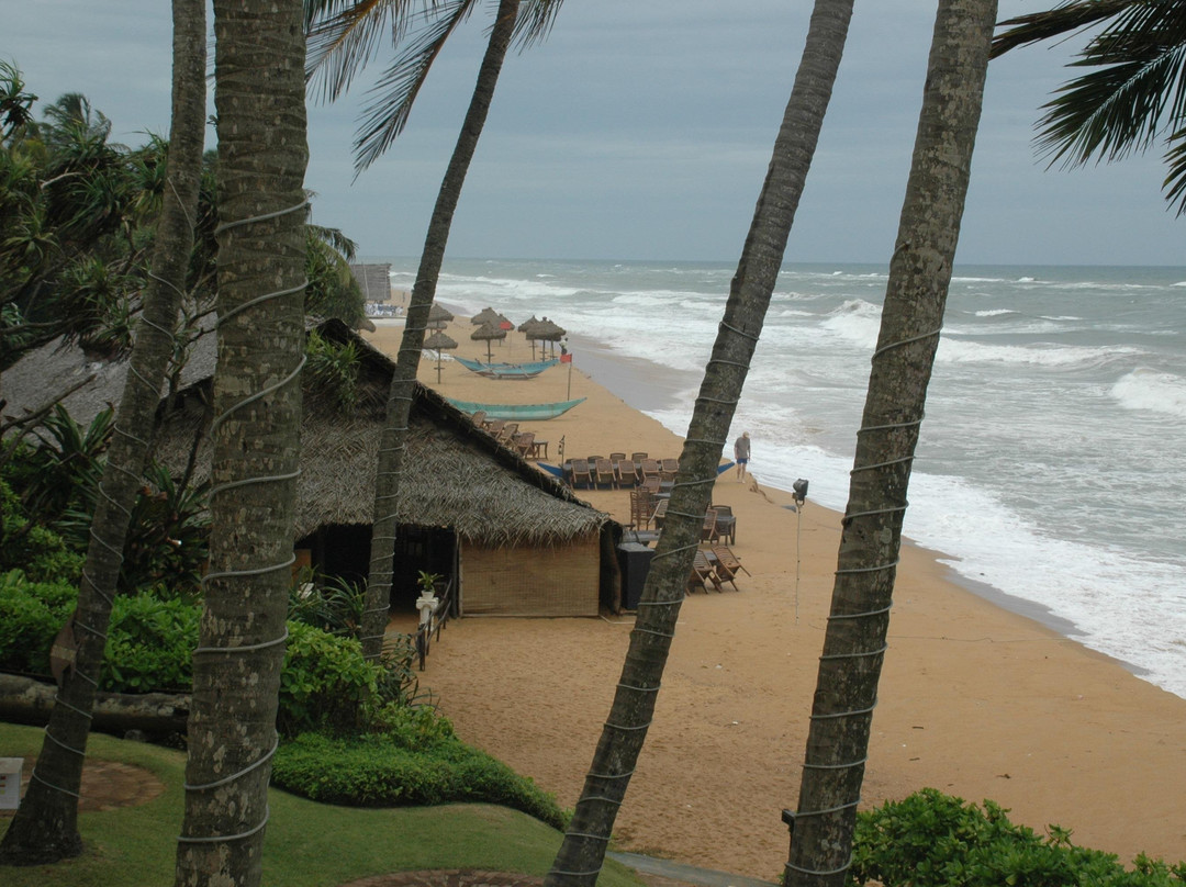 Pleasant Lanka Tours-Kandana必去景点
