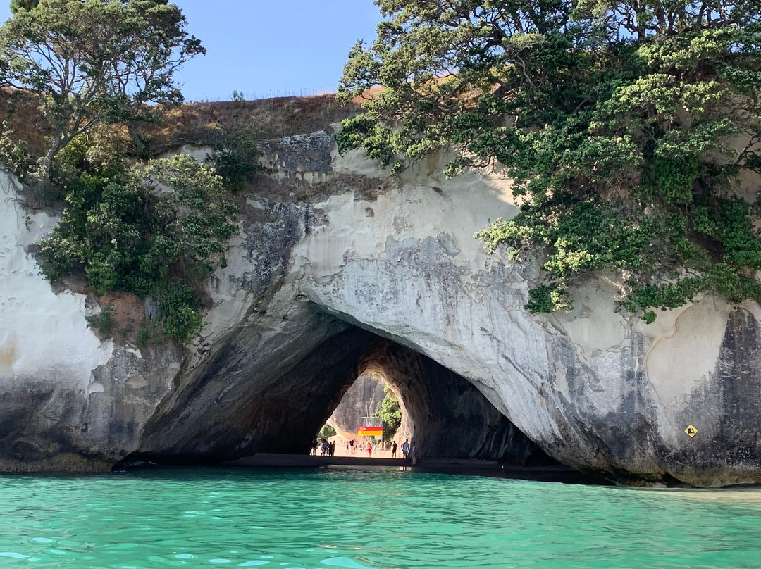 Banana Boat Whitianga-菲蒂昂格必去景点