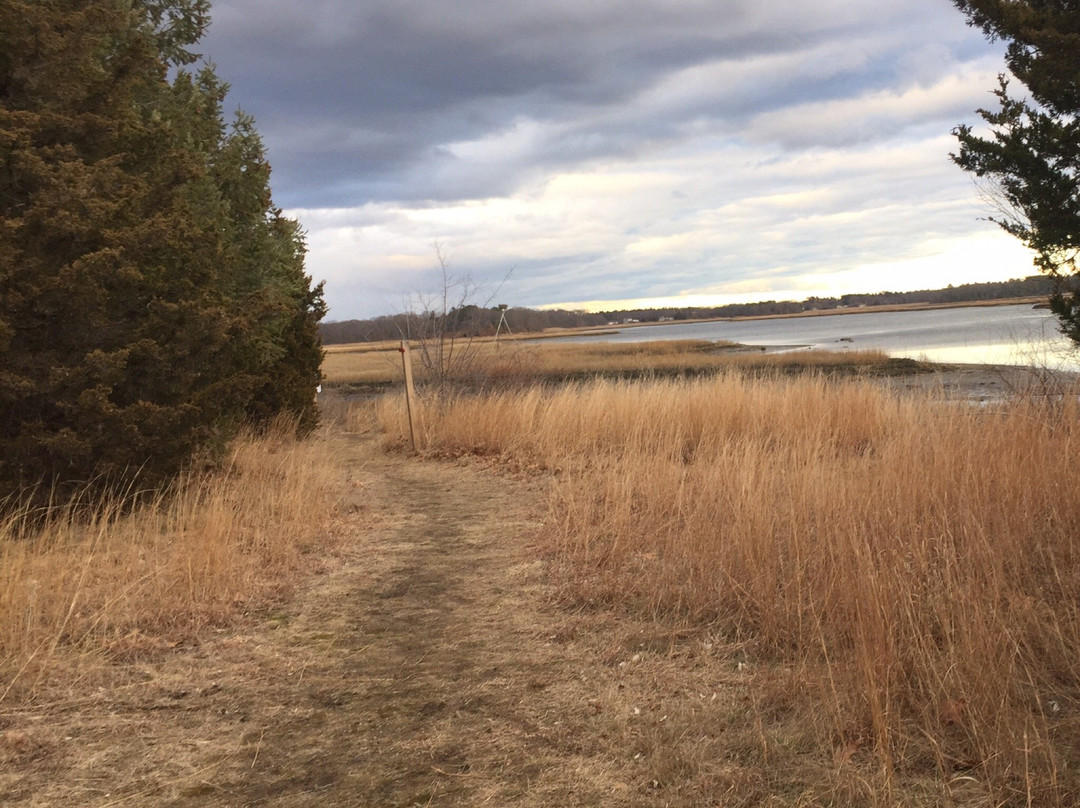Osamequin Nature Trails and Bird Sanctuary-Barrington必去景点