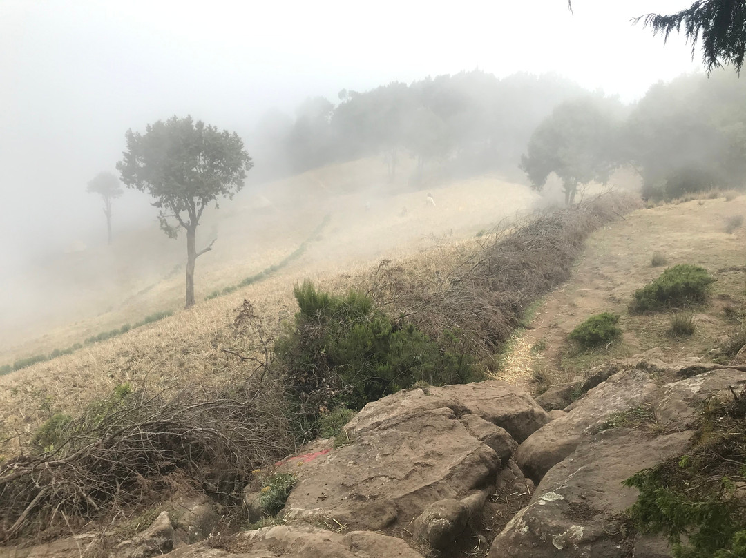 Run Africa-亚的斯亚贝巴必去景点