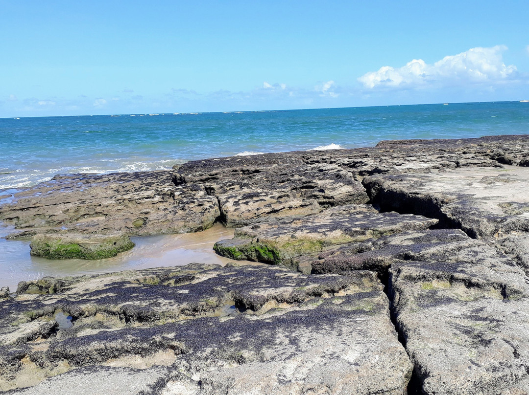 Jacuma Beach-Genipabu必去景点
