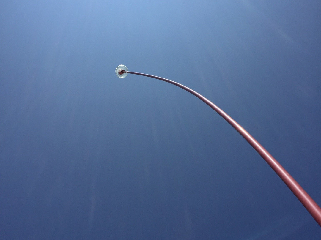 Wind Wand景点图片