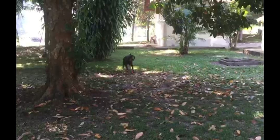 Hotel Fazenda Paraiso主图