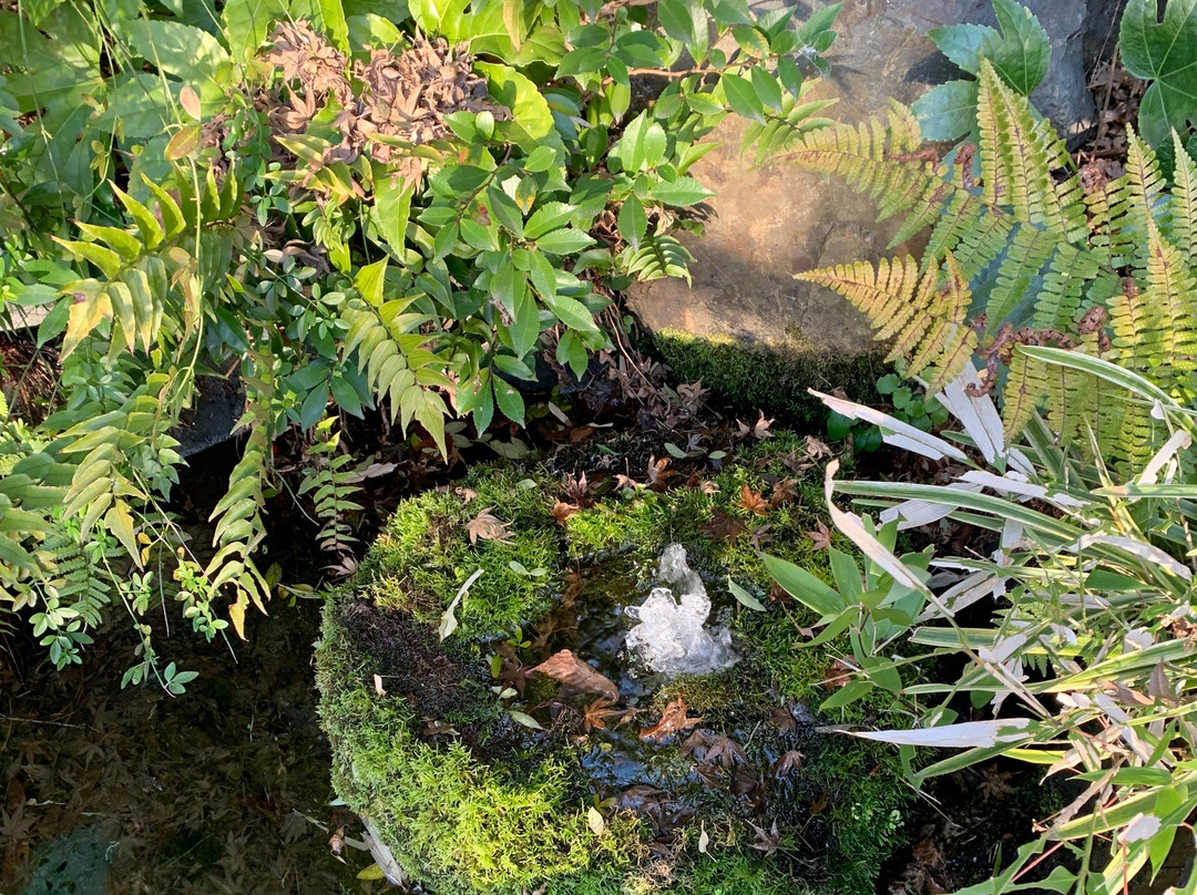 Meisui Ote Ikoi Spring Water Park-大垣市必去景点