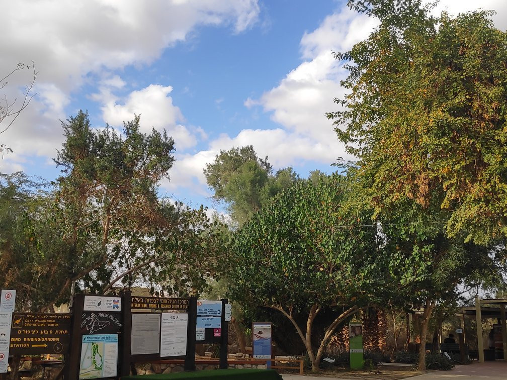 The International Birding & Research Centre-埃拉特必去景点