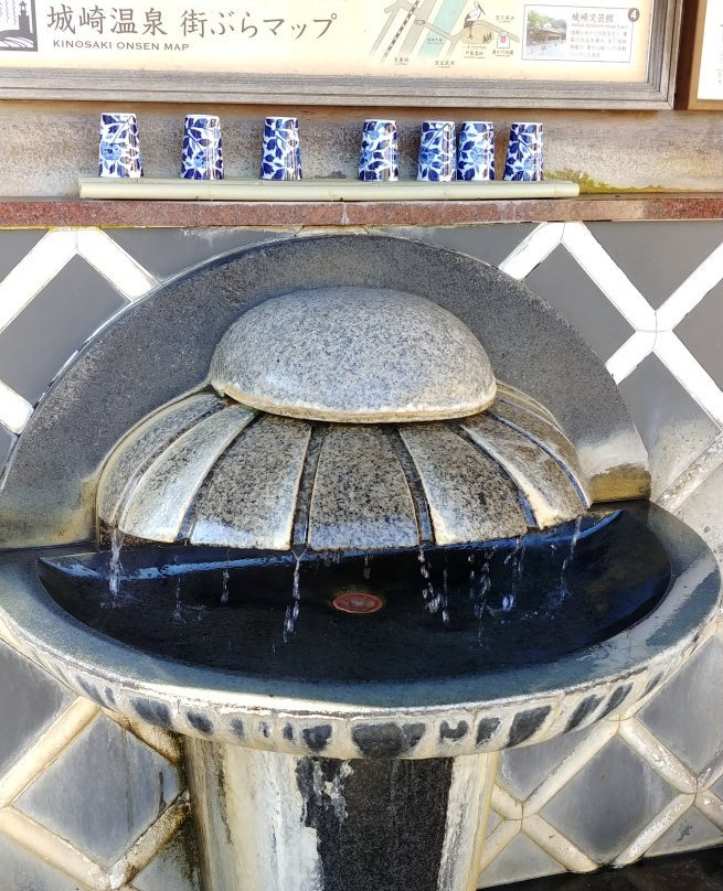 Tamahashi Drinking Spot-丰冈市必去景点