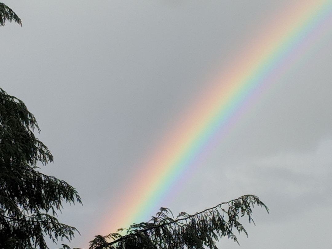 Parc régional du Poisson Blanc-Notre-Dame-du-Laus必去景点