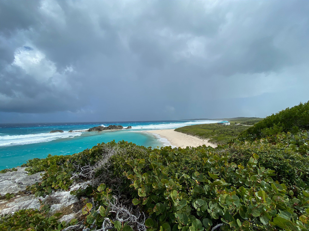 Caicu Naniki-普罗维登西亚莱斯必去景点