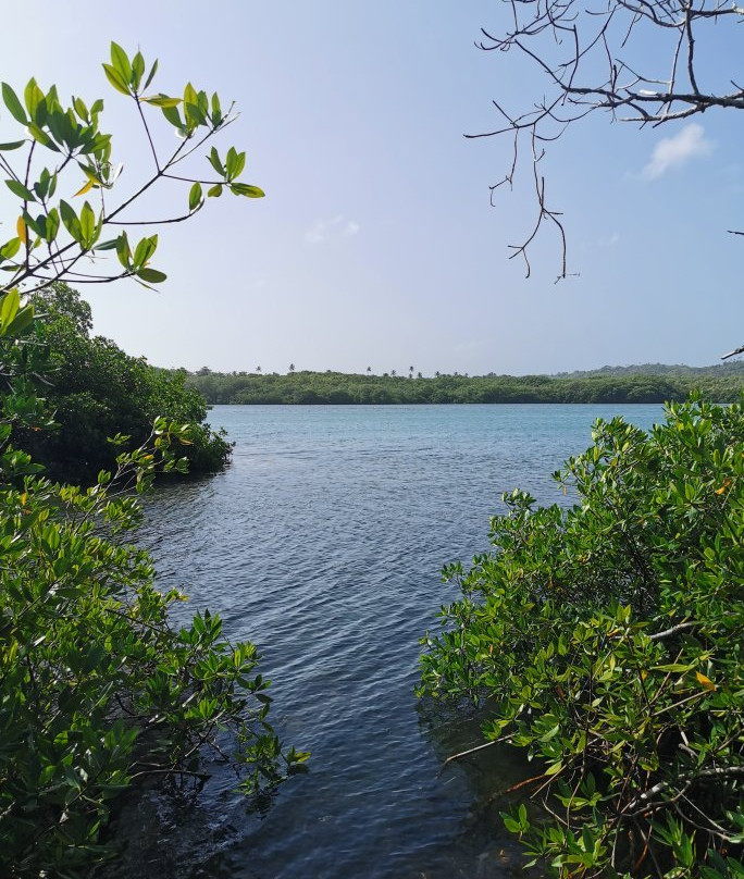 Manglares de Old Point National Park-圣安德烈斯必去景点
