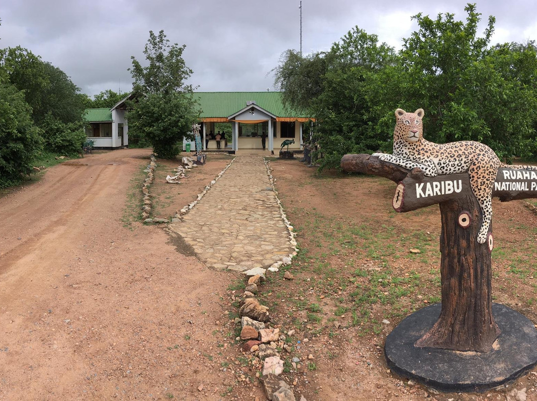 Wildness Safari  Tanzania-Dar es Salaam必去景点