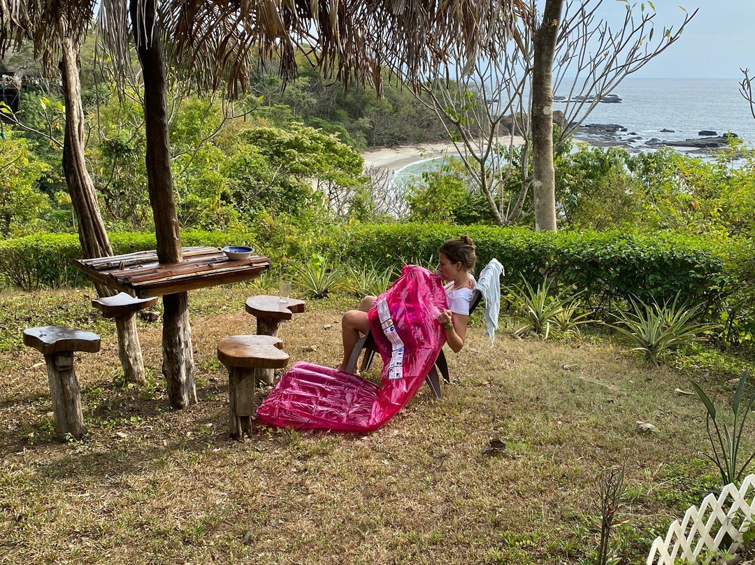 Treetops B&B Inn主图