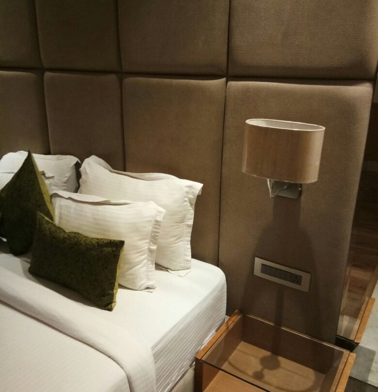 Hotel Orchid Blu主图