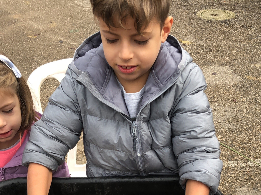 Tut Neyar - Handmade Paper-Zichron Yaakov必去景点