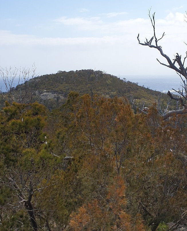 Lookout Rock State Reserve-比奇诺必去景点