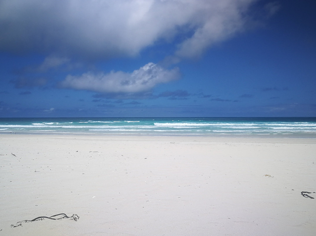 De Mond Nature Reserve-Bredasdorp必去景点