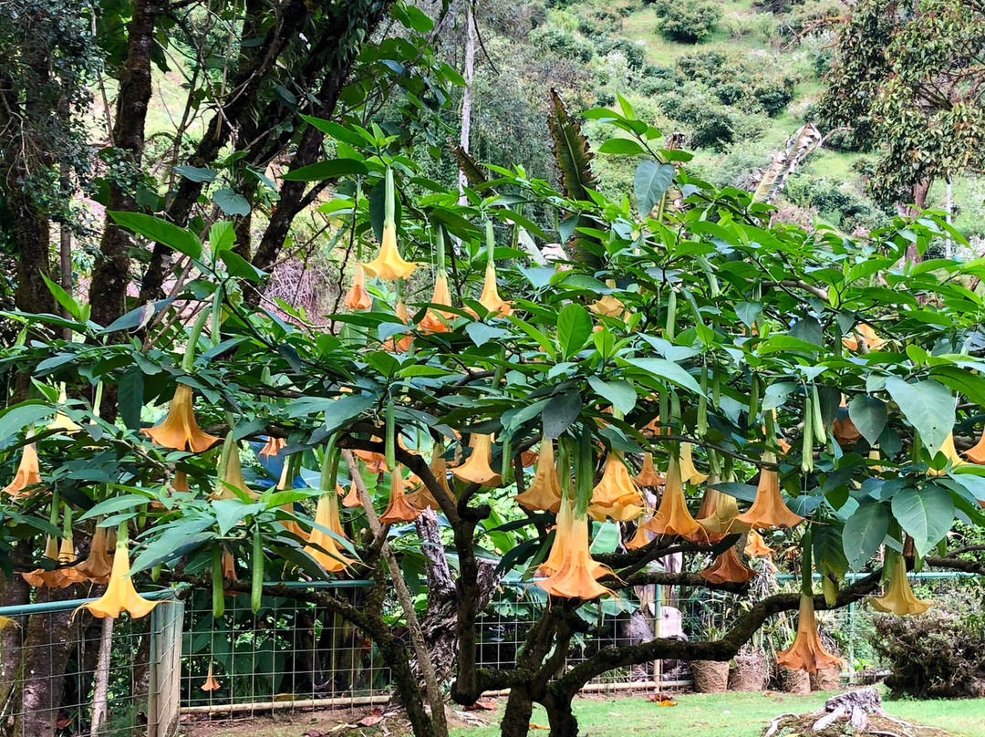 Savegre Hotel Natural Reserve & Spa主图