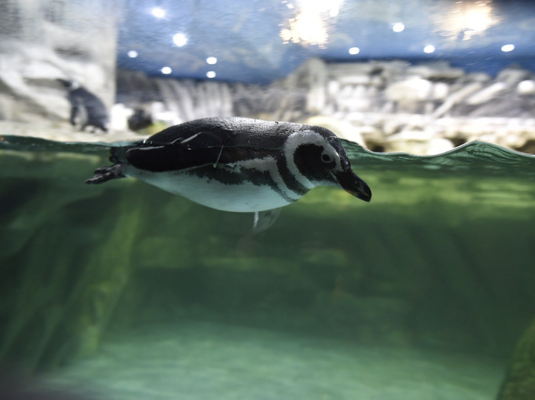 Tropicarium Park景点图片