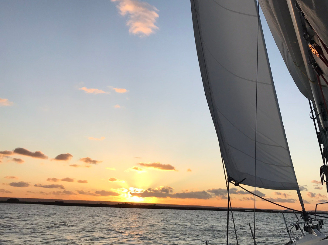 Elite Sailing景点图片