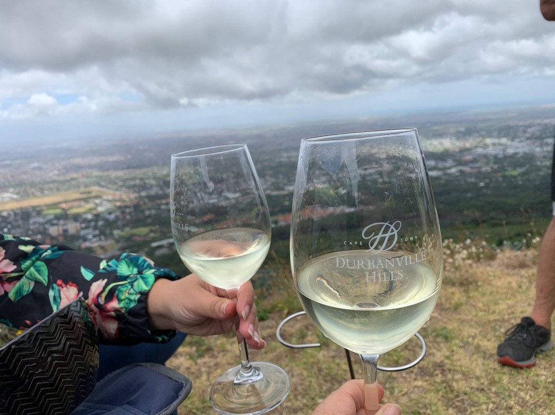 Durbanville Hills Wine景点图片
