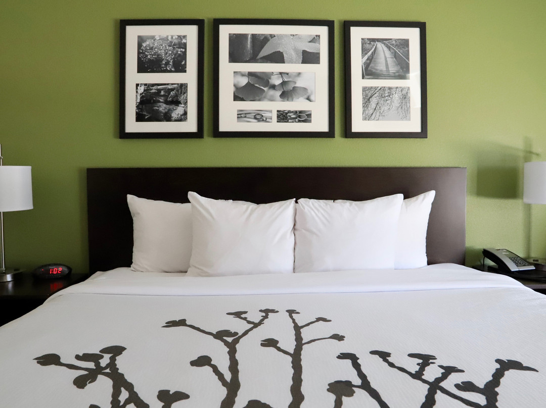 Sleep Inn Ellenboro Hwy 50主图