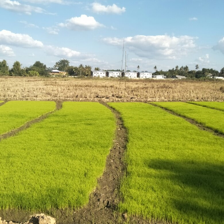 Chiangmai Smile Tours-讪柿必去景点