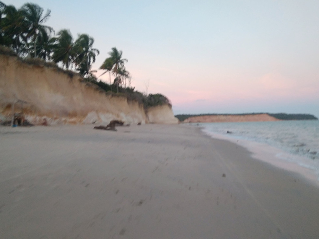 Praia da Ilha da Croa景点图片