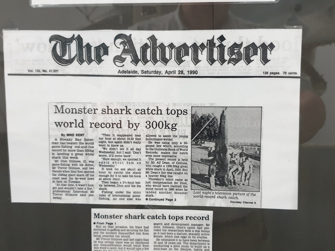 Great White Shark Replica-Streaky Bay必去景点