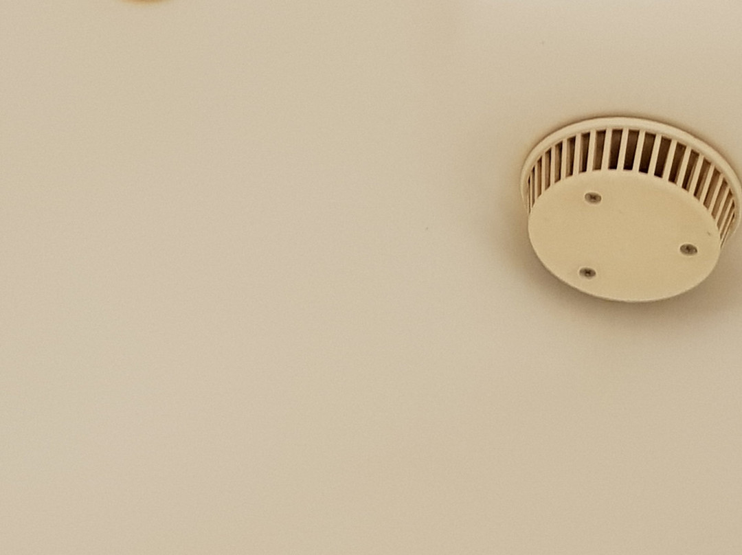 礁棕榈酒店主图