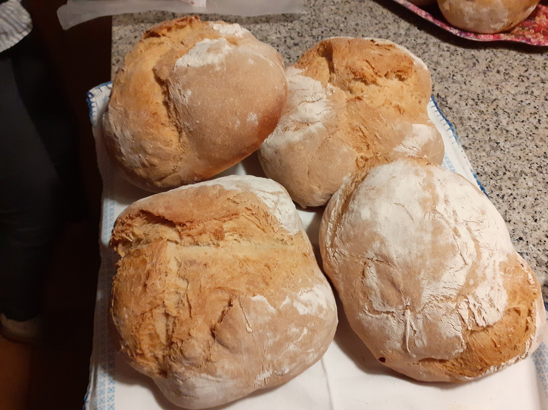 Aromas dos Salgueiros主图