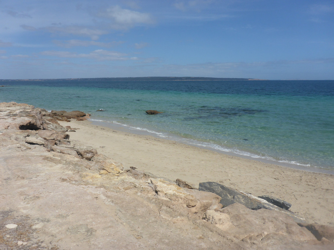 Baudin Beach-袋鼠岛必去景点