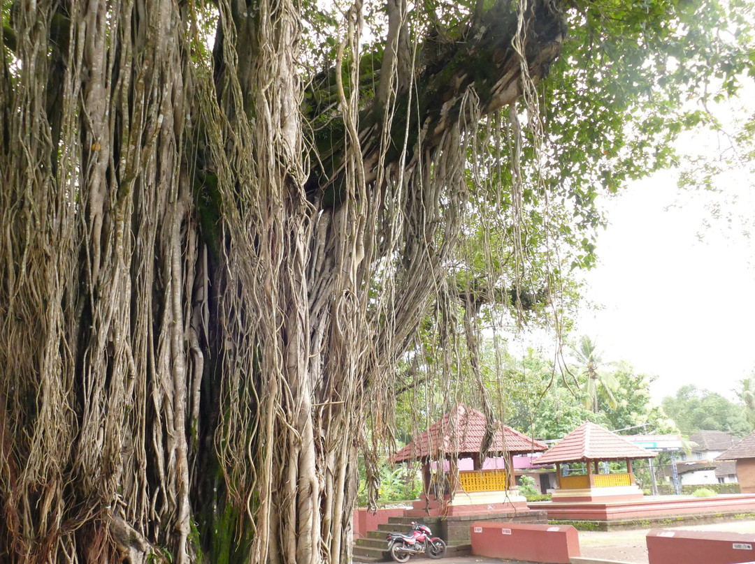 Annapoorneshwari Temple景点图片