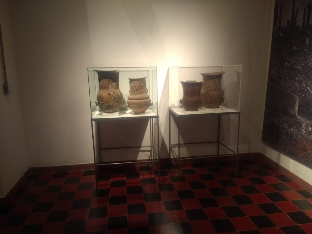 Museo Arqueologico Dr. Eduardo Casanova景点图片