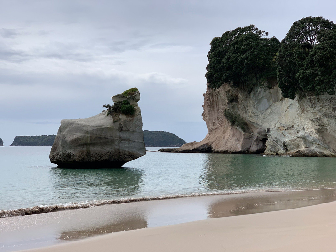 Tui Tours-奥克兰中心地区必去景点