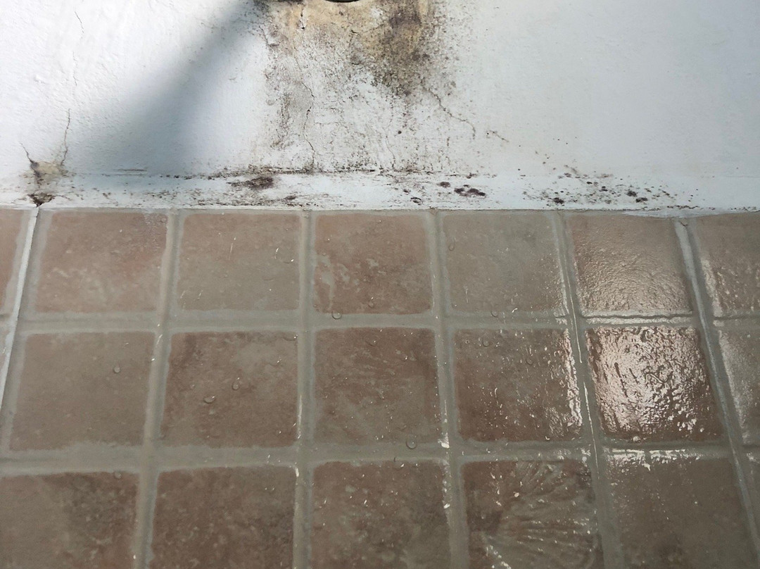 Hotel Tabasco Rio主图