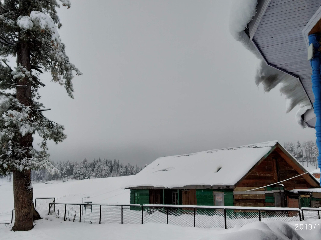 Pine View Resort主图