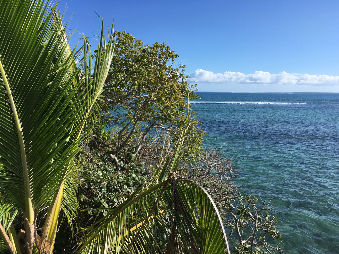 Abel Tasman Landing Site景点图片