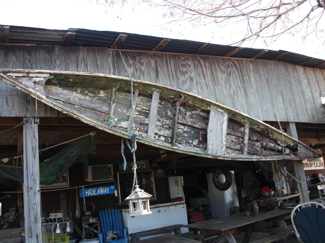 Zam's Bayou Swamp Tours景点图片