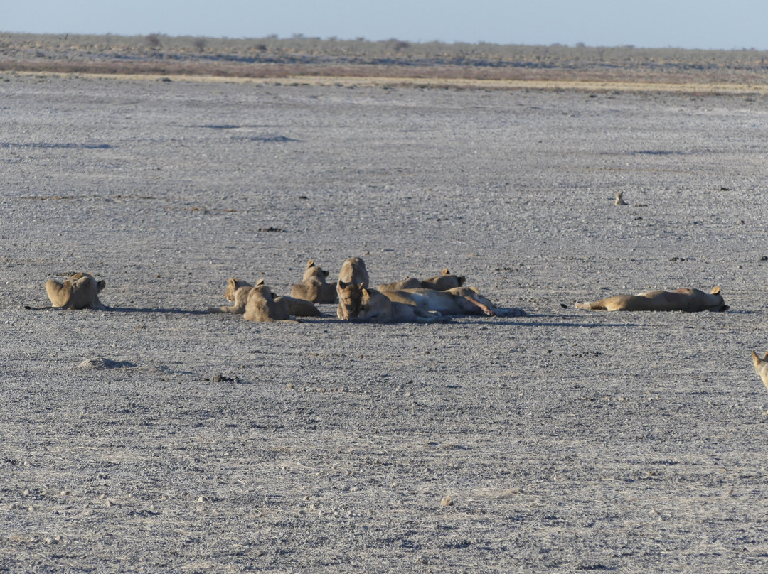 Don Tours & Safaris-温德和克必去景点