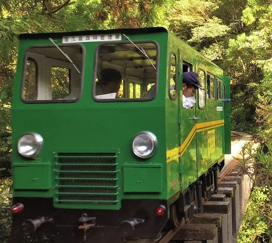 Yakushima Forest Railway景点图片