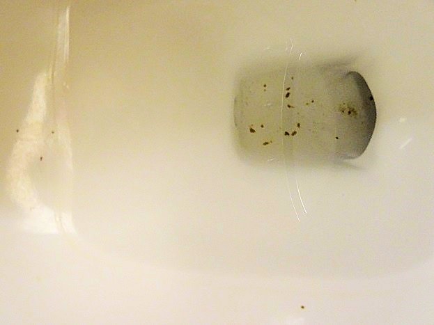 Hampton Inn Springfield South Enfield-浴室