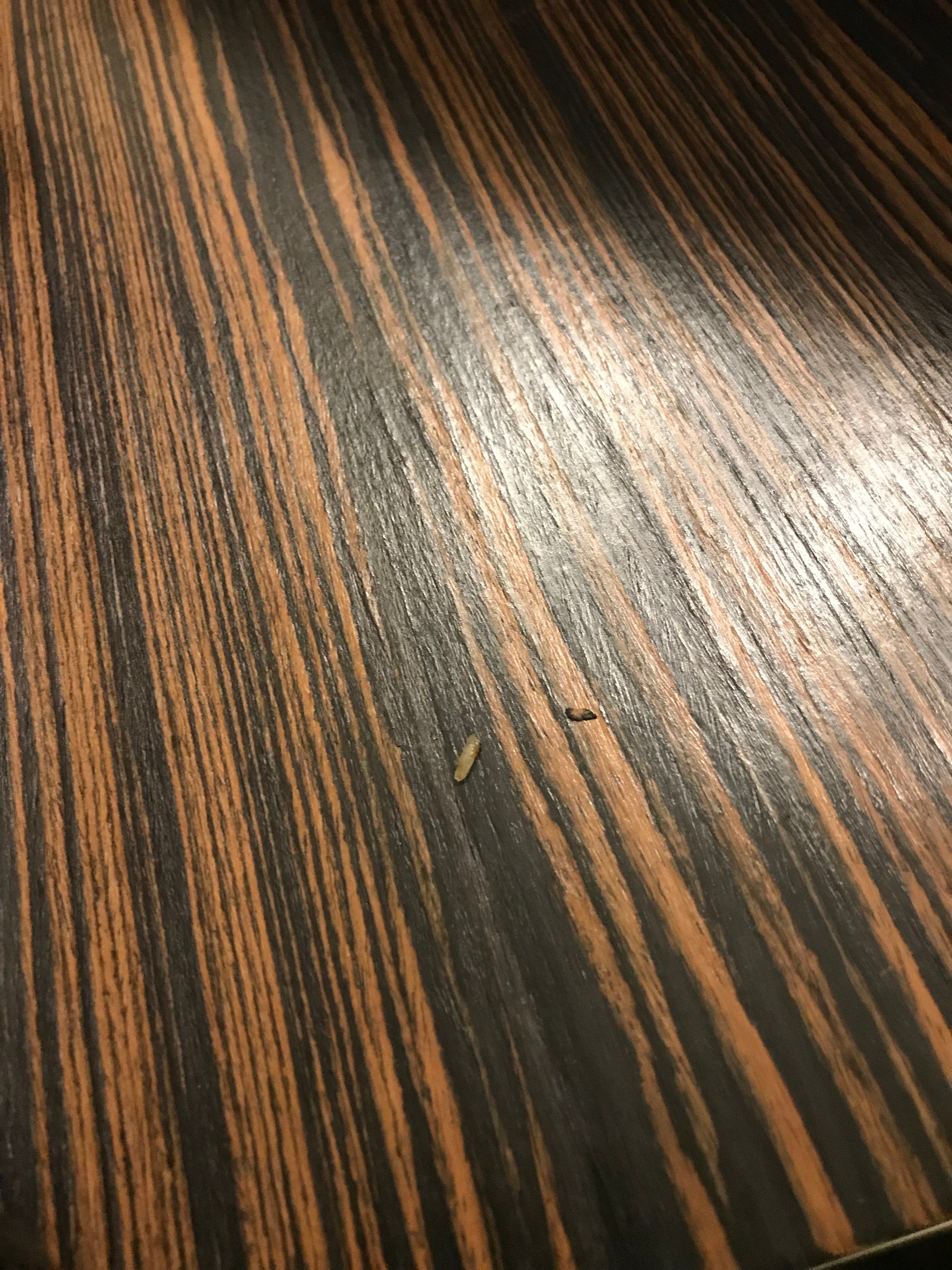 Hyatt Regency Green Bay-portrait