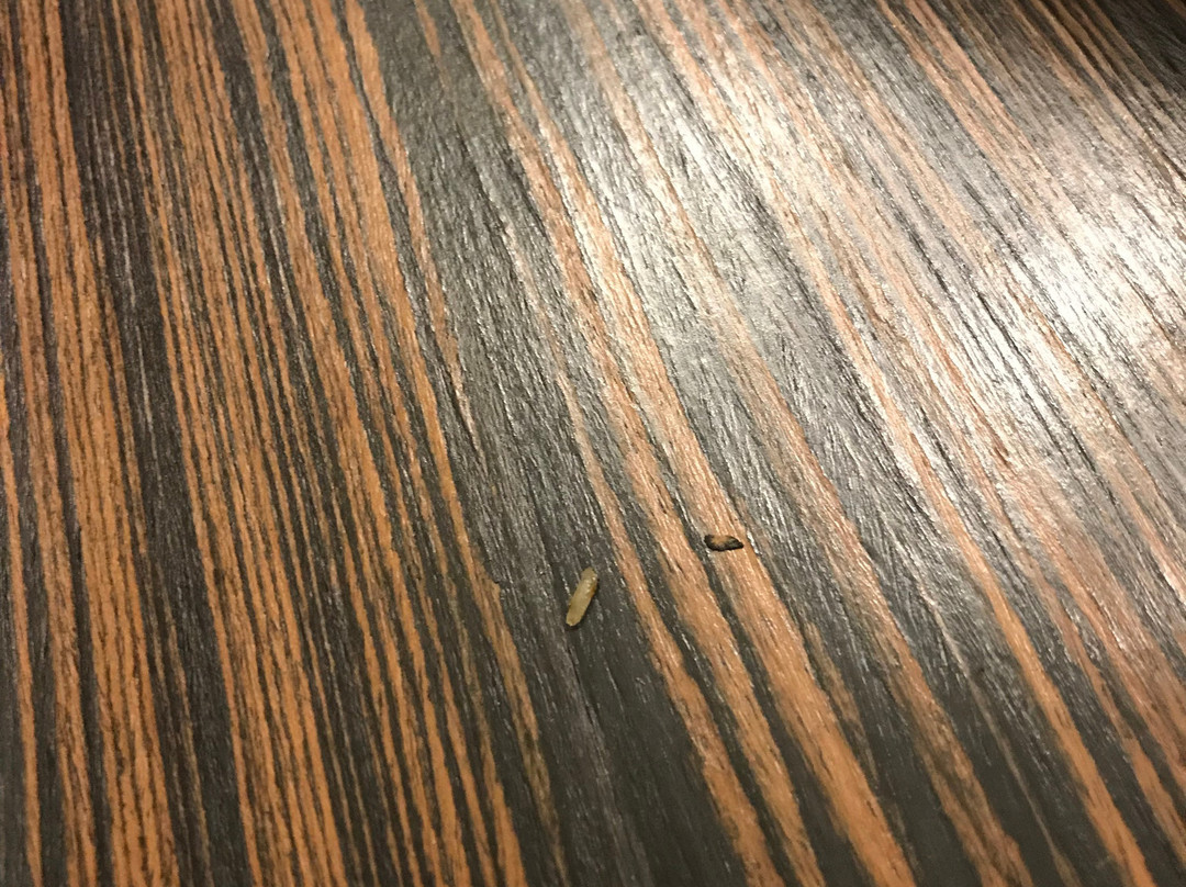 Hyatt Regency Green Bay主图